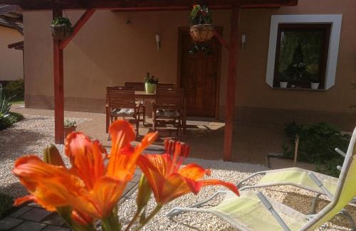 Gyula Apartment | Ágnes Vendégház