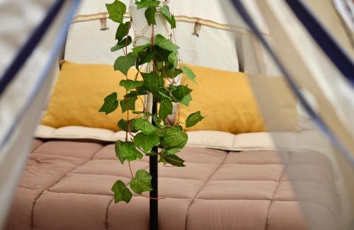 San Antonio de las Minas Other | Árbol de la Vida Glamping Valle de Guadalupe