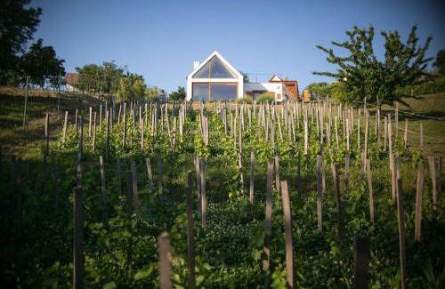 Szekszard House | Ég & Föld Borvendégház