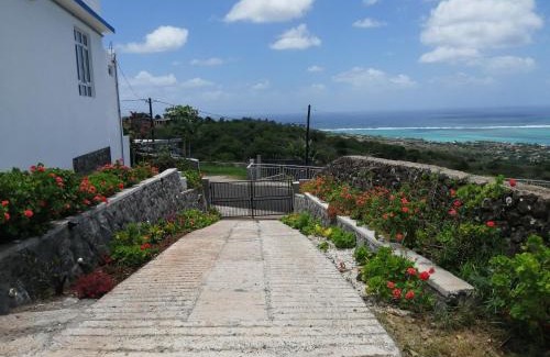 Coromandel House | Ô Bercail du Sud-Hibiscus chez Jeannette