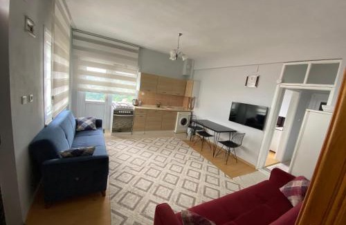 Caykara Apartment | Özçelik Apart