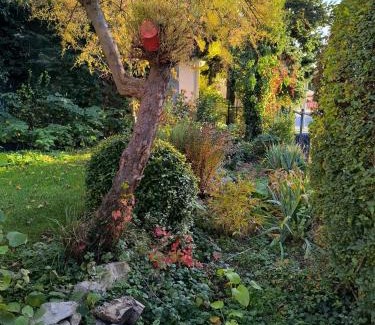 Nitra House | Útulné zátišie v zoborskom dome