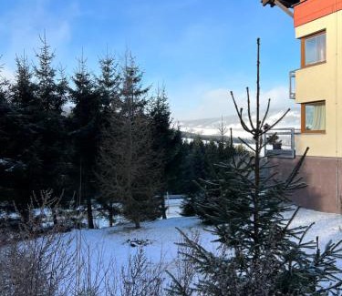 Loucna Pod Klinovcem Apartment | Útulný jednopokojový apartmán v alpském stylu na Klínovci