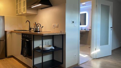 Zernovka Apartment | Útulný podkrovní ateliér se zahradou