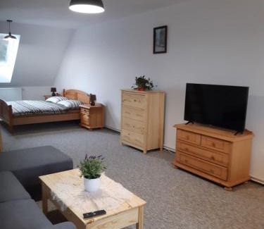Cerna V Posumavi House | Černá v Pošumaví Apartmán