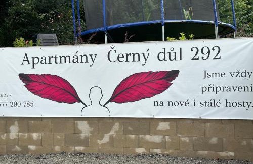 Cerny Dul Apartment | Černý Důl 292