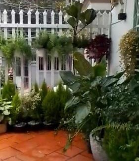 Da Lat House | Đà Lạt Homestay - Lối Nhỏ