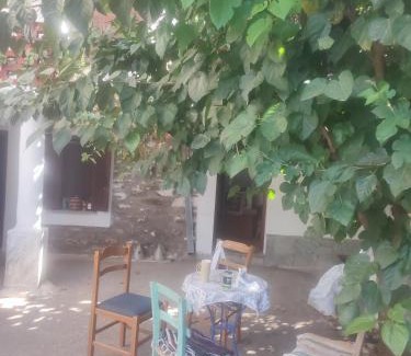 Tempi House | Αρχοντικό