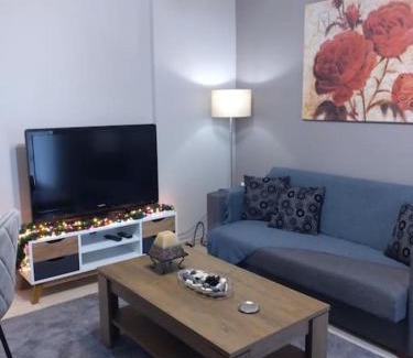 Trikala Apartment | Χαίρε, ξεΐνε, παρ' αμμι φιλησεαι