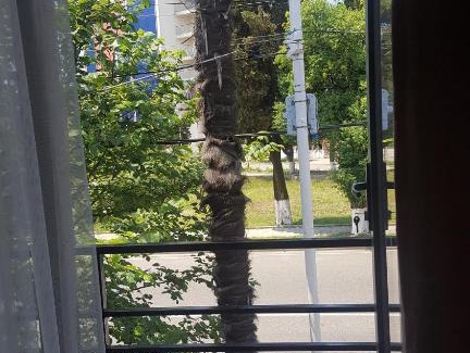 Kobuleti Apartment | Апартаменты у моря от Ирины