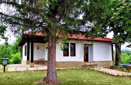 Yakovtsi Villa | Бор и Шишарка