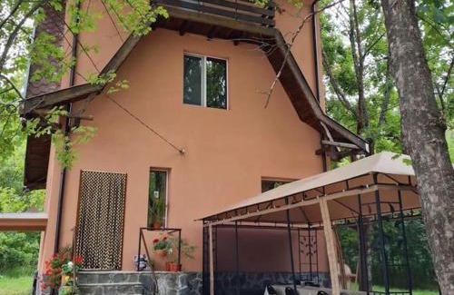 Tsigov Chark House | Вила Вайлин