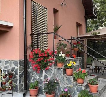 Tsigov Chark House | Вила Вайлин