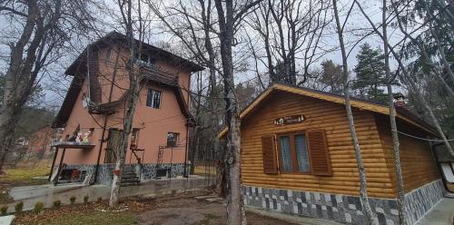 Tsigov Chark House | Вила Вайлин