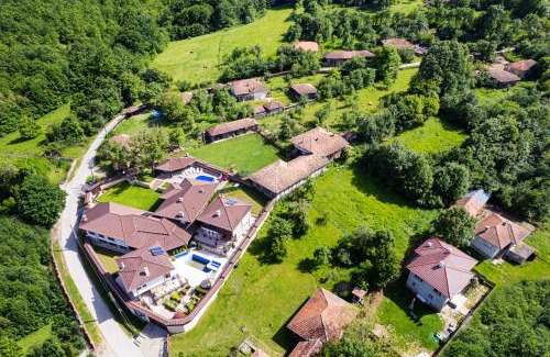 Elena Villa | Вили Алекс