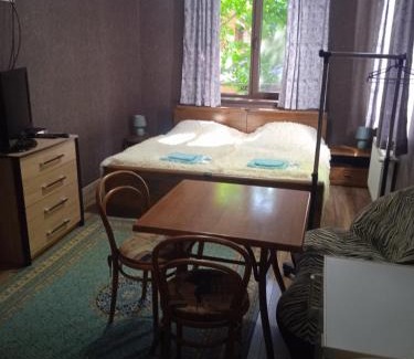Skhidnytsya Apartment | Вілла Лісова комфорт