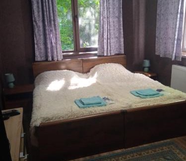 Skhidnytsya Apartment | Вілла Лісова комфорт