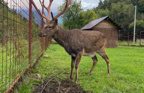 Cheremushki House | Загородный комплекс Солонечный