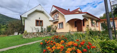 Snidavka Apartment | Комфортне Studio в Криворівні
