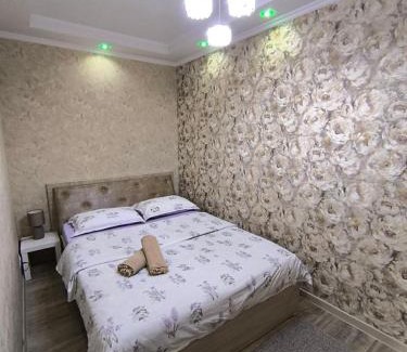 Bishkek Apartment | Комфортный дом до 4х человек. Есть парковка на 2 машины, Wi-Fi, TV.