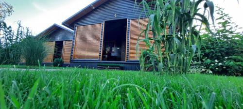 Transcarpathia Apartment | Котеджі Арлен