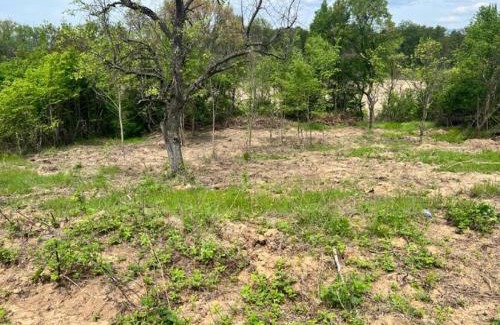 Kazanlak Other | Къмпинг Частен Двор BULGARIAN CAMPSITE for Tents