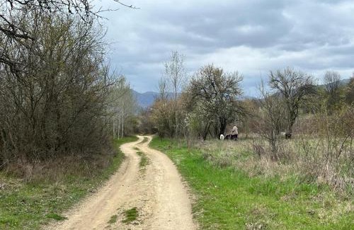 Kazanlak Other | Къмпинг Частен Двор BULGARIAN CAMPSITE for Tents