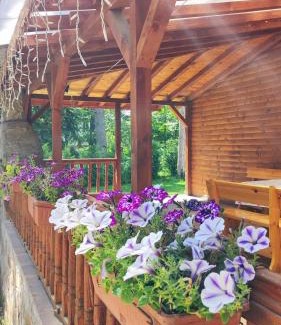 Tsigov Chark House | Къща за гости ЕКО