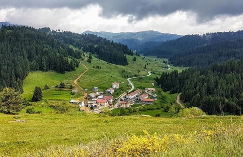 Buynovo House | Къща за гости "Орлец"