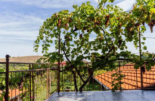 Sapareva Banya House | Къща Лиляна