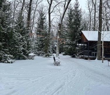 Kiev Oblast Hotel | Лісова Казка