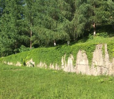 Snidavka House | Ромашка