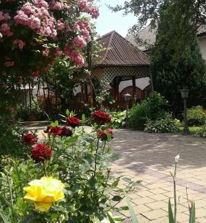 Solochyn Hotel | Усадьба " У Артура"