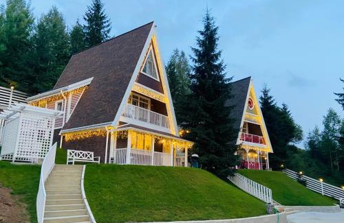 Bukovel Ski Chalet | Цілий триповерховий будинок FREEMAN-3 над річкою з альтанкою та грилем