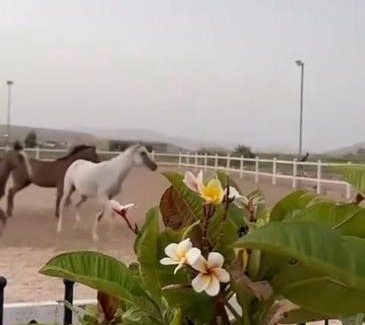 Al Kamil Wal Wafi Villa | أستراحة أريـــان