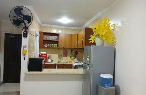 Borg el Arab Apartment | الدقي شارع محمد علي