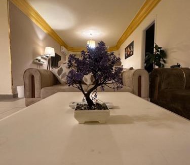 Giza Apartment | كمباوند الخليج