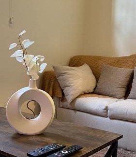 Abha Apartment | لافيستا روم Lavista room