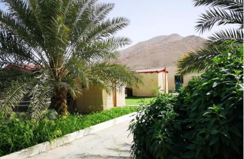 Ash Sharqiyah North Governorate House | مزرعة نحل العسل
