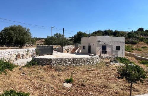 Ajloun Governorate House | منزل مستقل لقضاء اجمل الاوقات بجبال عجلون