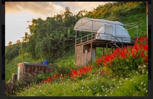 Mae Rim Resort | ชูชัยฟาร์มสเตย์ ม่อนแจ่ม