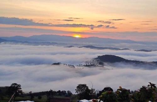 Chiang Saen Other | ดอยสะโง้วิวโฮมสเตย์โดมบอล