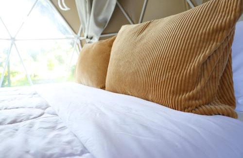 Mae Chan Other | ภูจัน รีสอร์ท&ออนเซ็น แคมปิ้ง