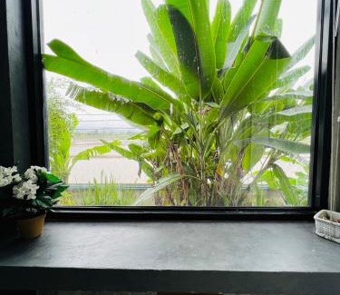 Song House | ริมยมรีสอร์ท