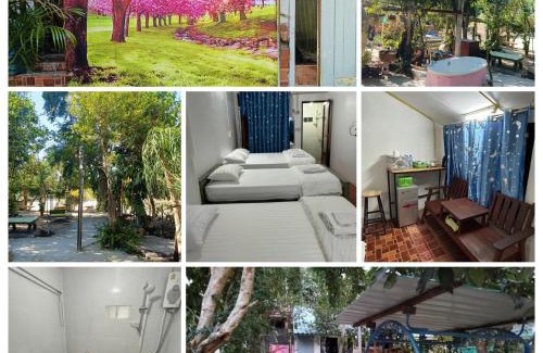 Kaeng Khoi Resort | ลานชมภู พักบ้าน กางเต้นท์ ชะอม แก่งคอย