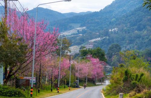 Chom Thong House | อินทนนท์ เล่าจู