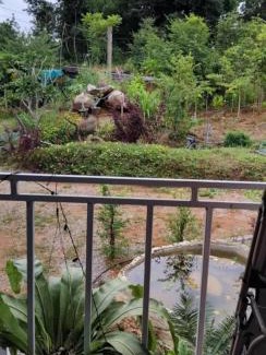 Phakdi Chumphol Other | ไร่เจาทองรีสอร์ท