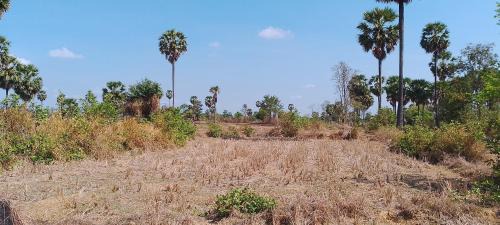 Santuk Other | ប៉ូច វណ្ណដា ធានាគារ