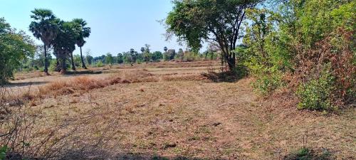 Santuk Other | ប៉ូច វណ្ណដា ធានាគារ