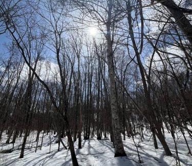 Yobito Apartment | アラン別邸自然溢れる呼人の一軒家